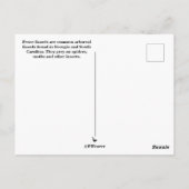 Eastern Fence Lizard SC Wildlife Briefkaart (Achterkant)