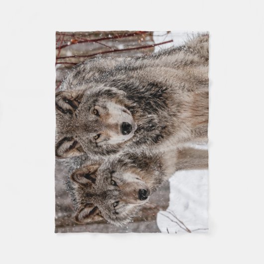 Eastern Gray Wolf Fleece Deken (Voorkant)