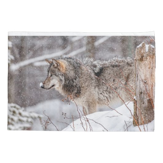 Eastern Gray Wolf Kussensloop (Achterkant)