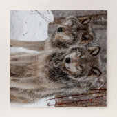 Eastern Gray Wolf Legpuzzel (Horizontaal)