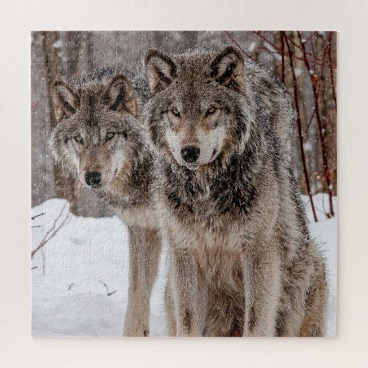 Eastern Gray Wolf Legpuzzel (Verticaal)