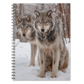 Eastern Gray Wolf Notitieboek (Voorkant)
