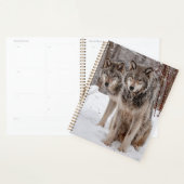 Eastern Gray Wolf Planner (Display)