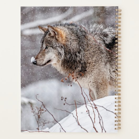 Eastern Gray Wolf Planner (Achterkant)