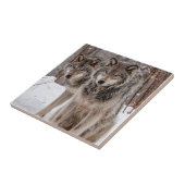 Eastern Gray Wolf Tegeltje (Zijkant)