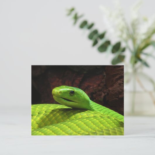 Eastern Green Mamba Dendroaspis Angusticeps Briefkaart (Staand voorkant)