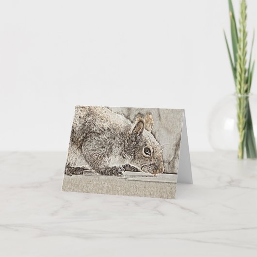 Eastern Grey Squirrel - Blank Kaart (Voorkant)