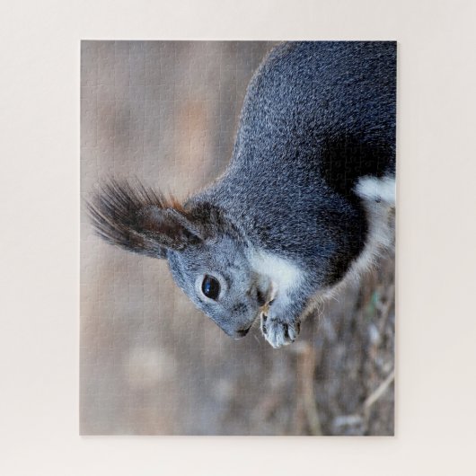 Eastern Grey Squirrel Close, Jigzaag Puzzle Legpuzzel (Verticaal)