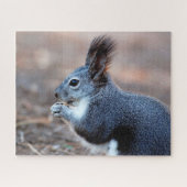 Eastern Grey Squirrel Close, Jigzaag Puzzle Legpuzzel (Horizontaal)