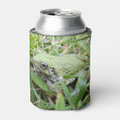 Eastern Grey Treefrog Nature Photography Blikjeskoeler (Blikje Voorkant)