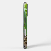 Eastern Grey Treefrog Nature Photography Case-Mate iPhone Case (Achterkant / Rechts)