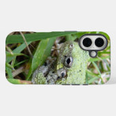 Eastern Grey Treefrog Nature Photography Case-Mate iPhone Case (Achterkant (horizontaal))
