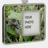 Eastern Grey Treefrog Nature Photography Verzilverd Omlijst Ornament (Rechts)