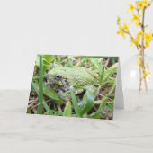 Eastern Grey Treefrog Natuur Fotografie Kaart (Gele Bloem)