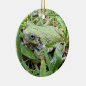 Eastern Grey Treefrog Natuur Fotografie Keramisch Ornament (Rechts)