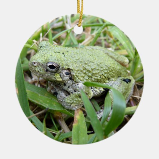 Eastern Grey Treefrog Natuur Fotografie Keramisch Ornament (Voorkant)