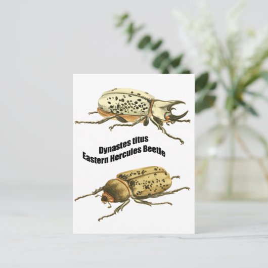 Eastern Hercules Beetle Briefkaart (Staand voorkant)