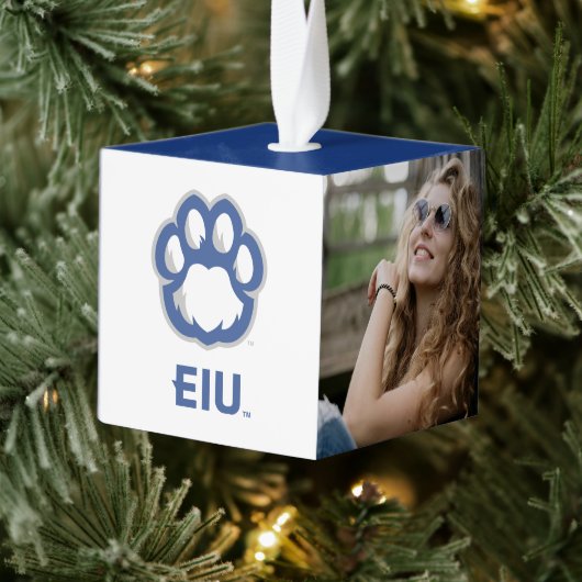 Eastern Illinois Panthers Paw Print & EIU Decoratie (Boom)