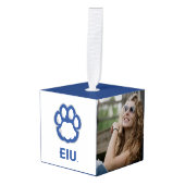 Eastern Illinois Panthers Paw Print & EIU Decoratie (Voorkant hoekig)