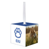 Eastern Illinois Panthers Paw Print & EIU Decoratie (Achter hoekig)