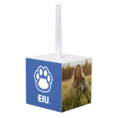 Eastern Illinois Panthers Paw Print & EIU Decoratie (Achter hoekig)