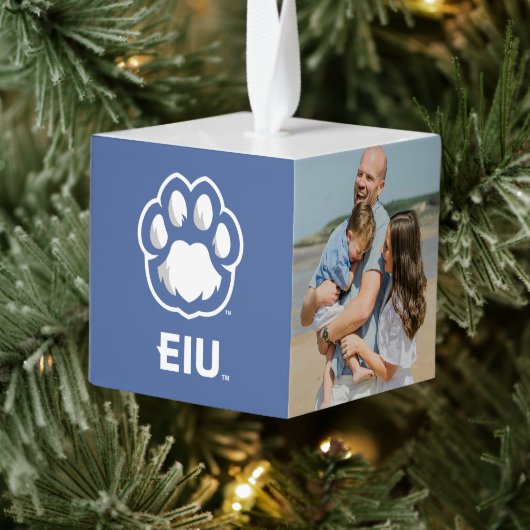 Eastern Illinois Panthers Paw Print & EIU Decoratie (Boom)