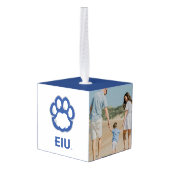 Eastern Illinois Panthers Paw Print & EIU Decoratie (Achter hoekig)