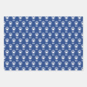 Eastern Illinois Panthers Paw Print & EIU Inpakpapier Vel (Voorkant 3)