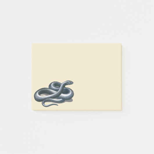Eastern Indigo Snake Post-it® Notes (Voorkant)