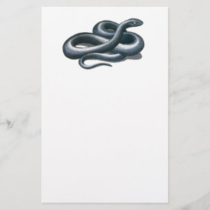 Eastern Indigo Snake Stationery Briefpapier