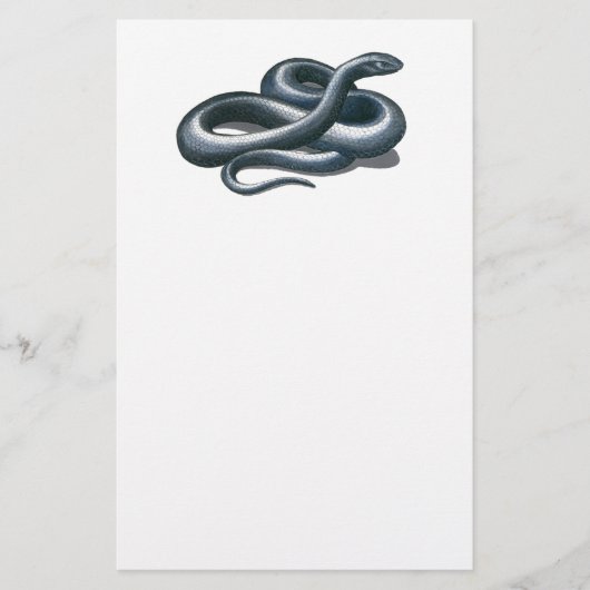 Eastern Indigo Snake Stationery Briefpapier (Voorkant)