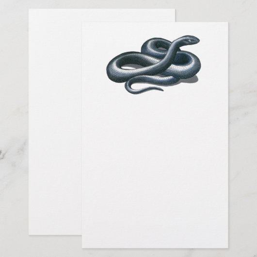 Eastern Indigo Snake Stationery Briefpapier (Voorkant / Achterkant)