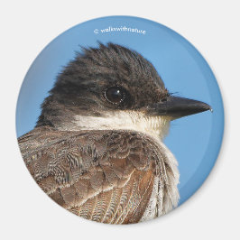Eastern Kingbird op een filiaal Magneet