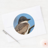 Eastern Kingbird op een filiaal Ronde Sticker (Envelop)