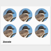 Eastern Kingbird op een filiaal Ronde Sticker (Vel)