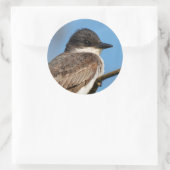 Eastern Kingbird op een filiaal Ronde Sticker (Tas)