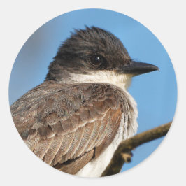 Eastern Kingbird op een filiaal Ronde Sticker