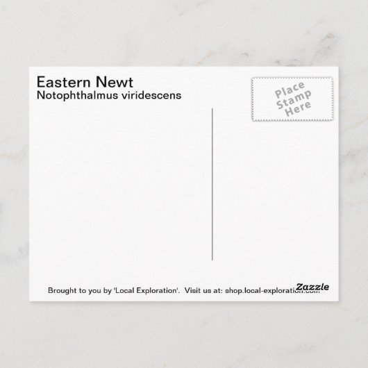 Eastern Newt Briefkaart (Achterkant)