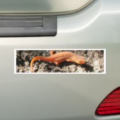 Eastern Newt Bumpersticker (Op auto)