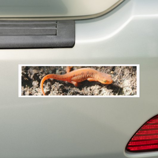 Eastern Newt Bumpersticker (Op auto)