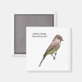 Eastern Phoebe Magneet (Voorkant / Achterkant)