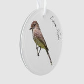Eastern Phoebe Ornament (voorkant)