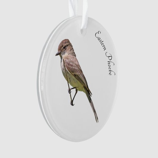 Eastern Phoebe Ornament (voorkant)