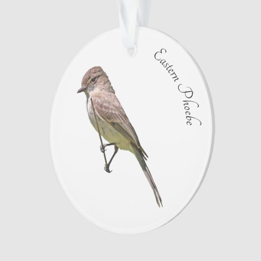 Eastern Phoebe Ornament (voorkant)