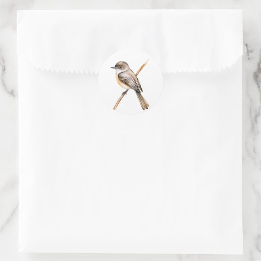 Eastern Phoebe Ronde Sticker (Tas)