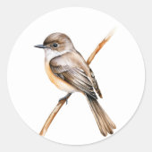 Eastern Phoebe Ronde Sticker (Voorkant)