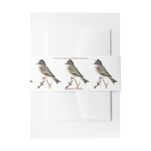 "Eastern Phoebe" Uitnodigingen Wikkel (Voorkant Voorbeeld)