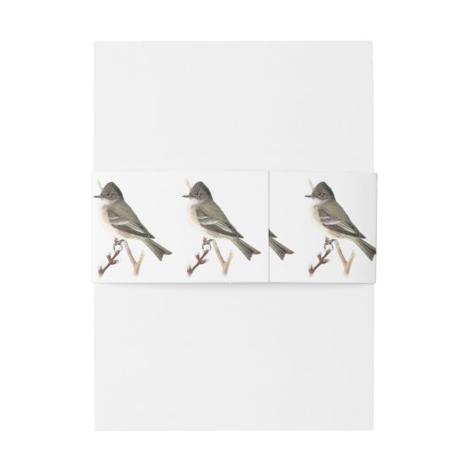 "Eastern Phoebe" Uitnodigingen Wikkel (Achterkant Voorbeeld)