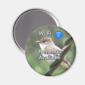 Eastern Phoebe Wi-Fi magnet (Voorkant / Achterkant)