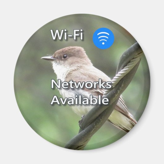 Eastern Phoebe Wi-Fi magnet (Voorkant)